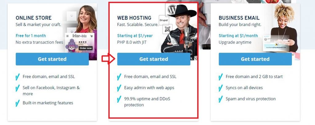 ionos cheap web hosting